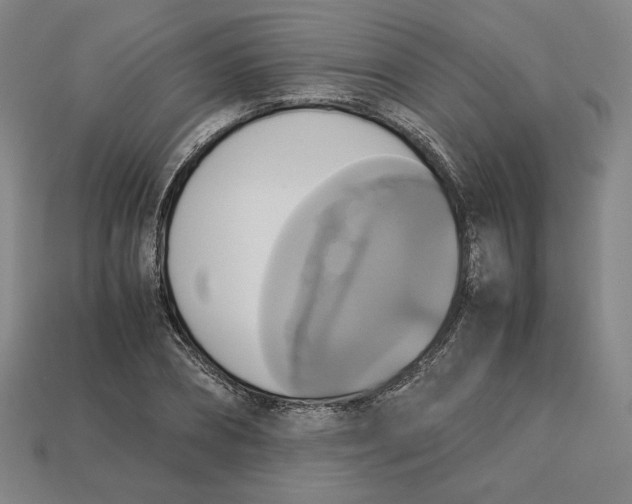 X0000113110882200909181626