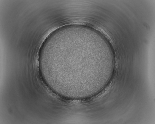 X0000113110883200909181626