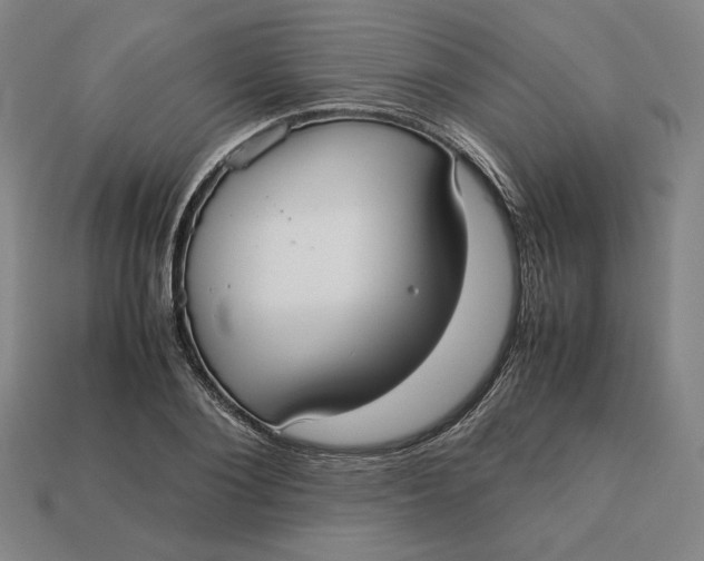 X0000113110884200909181626