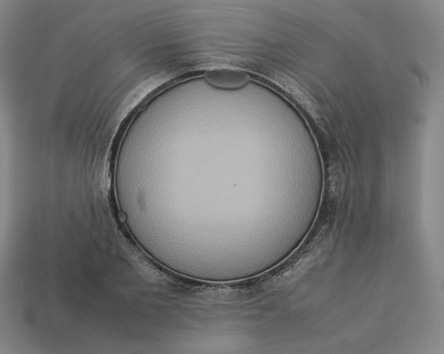 X0000113110885200909181626