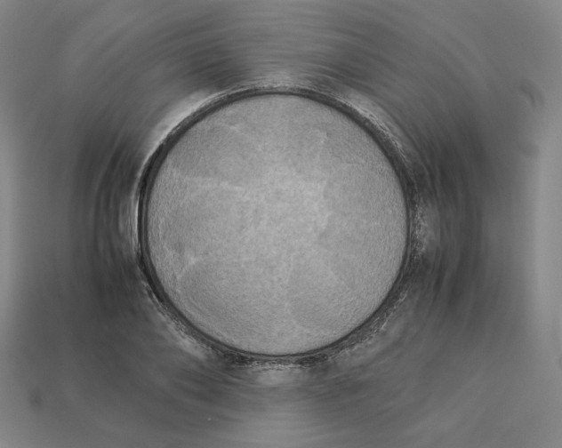 X0000113110886200909181626