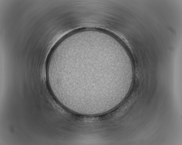 X0000113110887200909181626