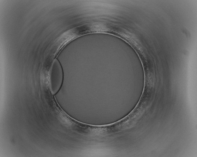 X0000113110889200909181626