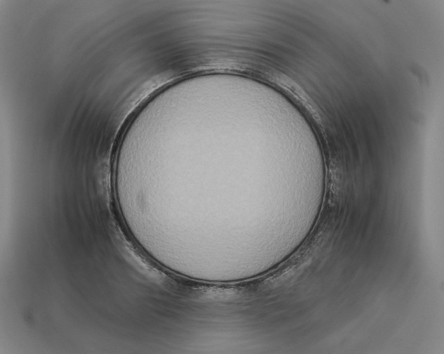 X0000113110890200909181626