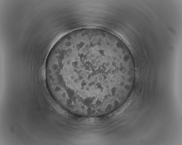 X0000113110891200909181626