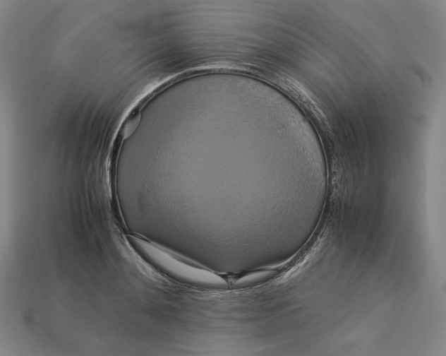 X0000113110892200909181626