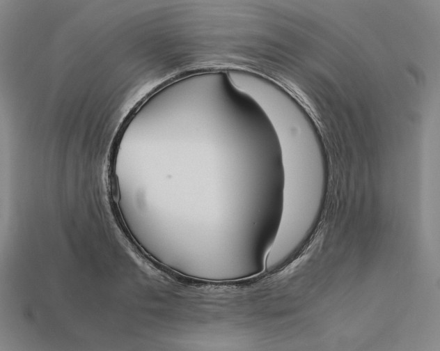 X0000113110893200909181626