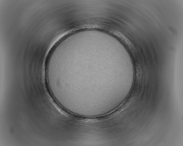 X0000113110894200909181626