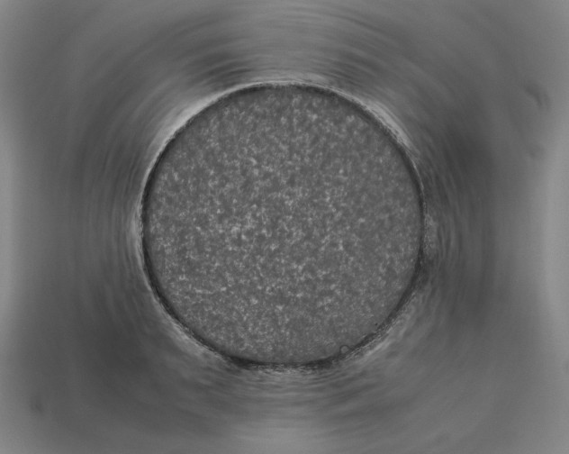 X0000113110895200909181626