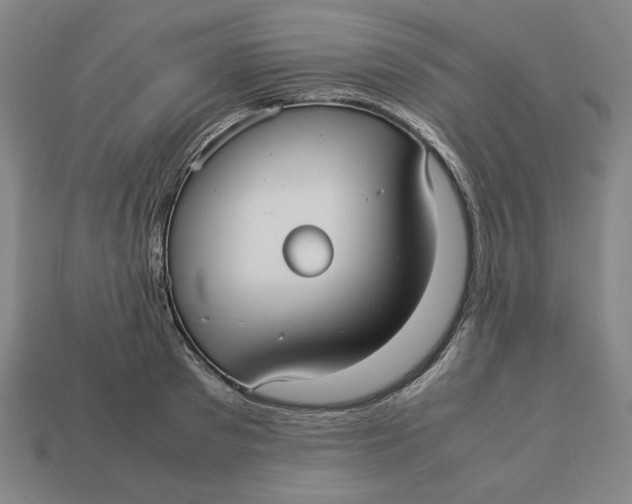 X0000113110897200909181626