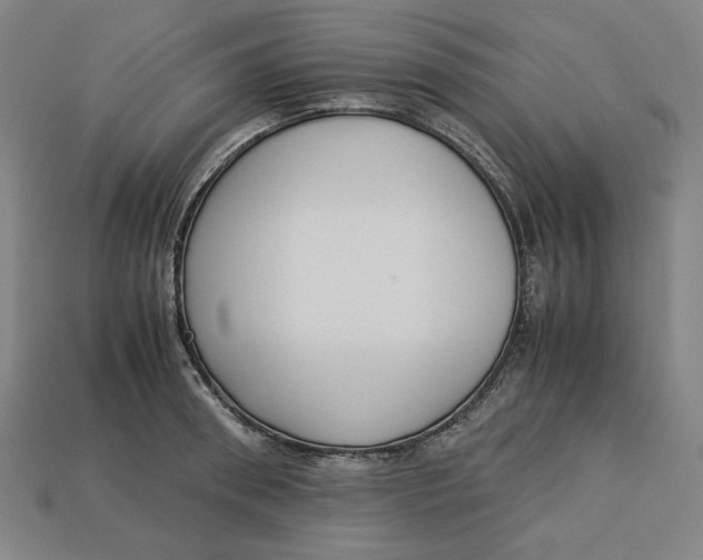 X0000113110898200909181626