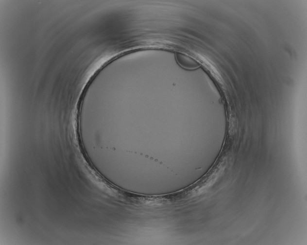 X0000113110899200909181626