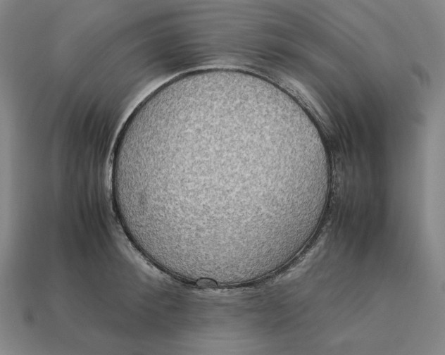 X0000113110900200909181625