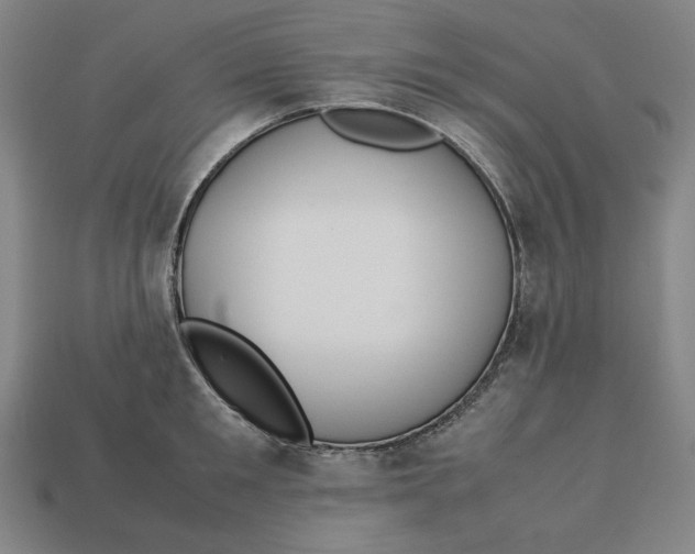 X0000113110901200909181625