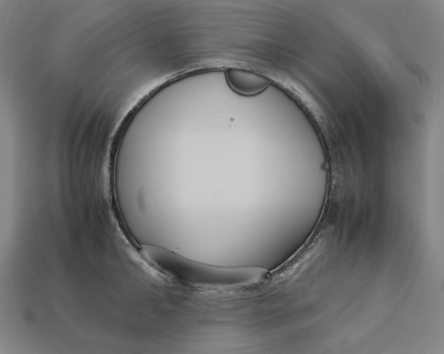 X0000113110902200909181625