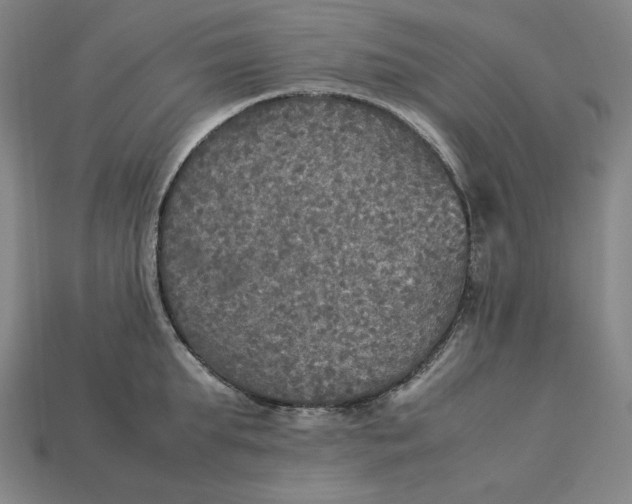 X0000113110903200909181625