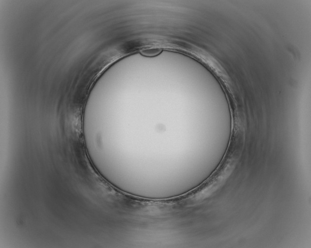 X0000113110905200909181625