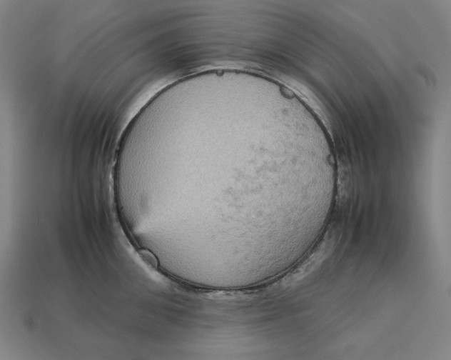 X0000113110906200909181625