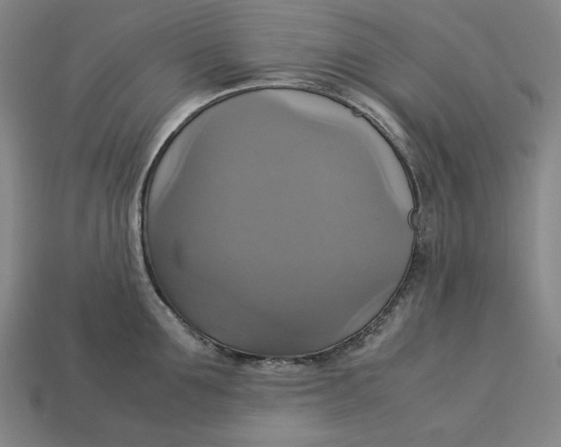 X0000113110907200909181625