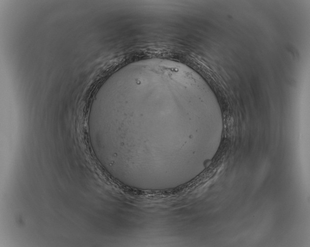 X0000113110913200909181625