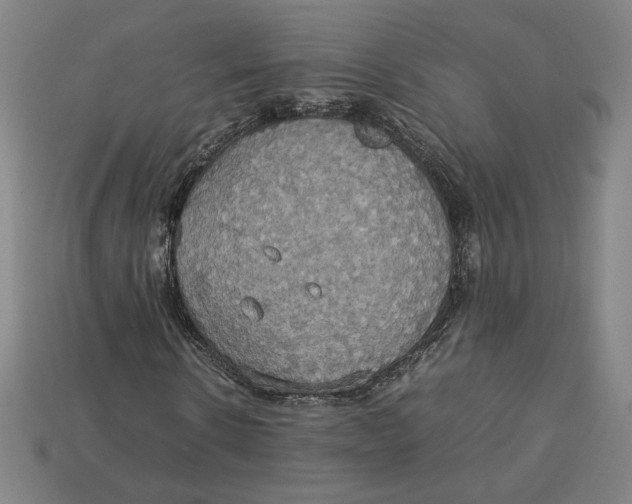 X0000113110914200909181625