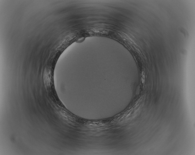 X0000113110915200909181625