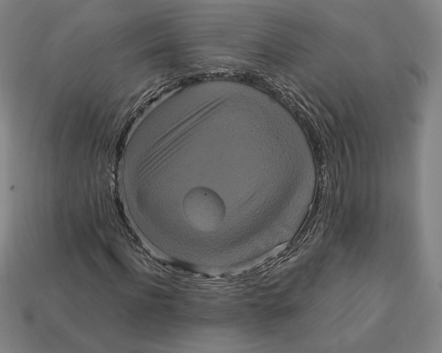 X0000113110916200909181625