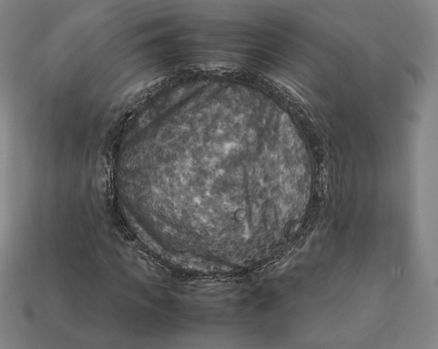 X0000113110917200909181625