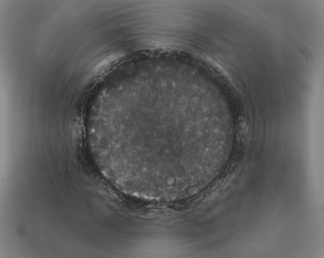 X0000113110918200909181625