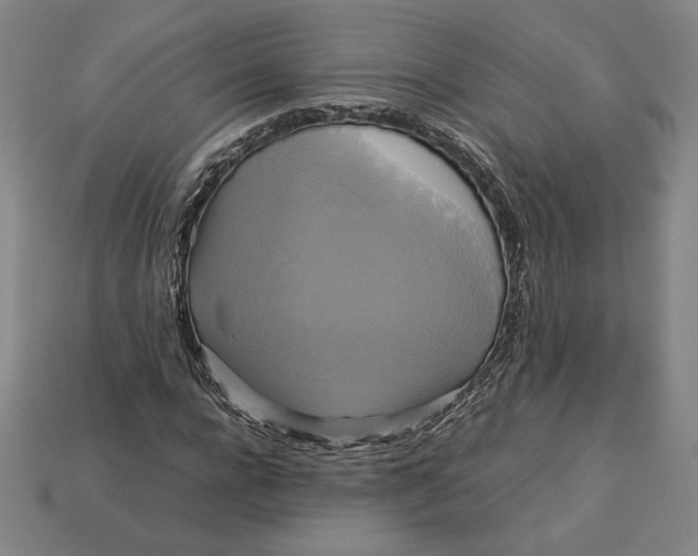 X0000113110920200909181625