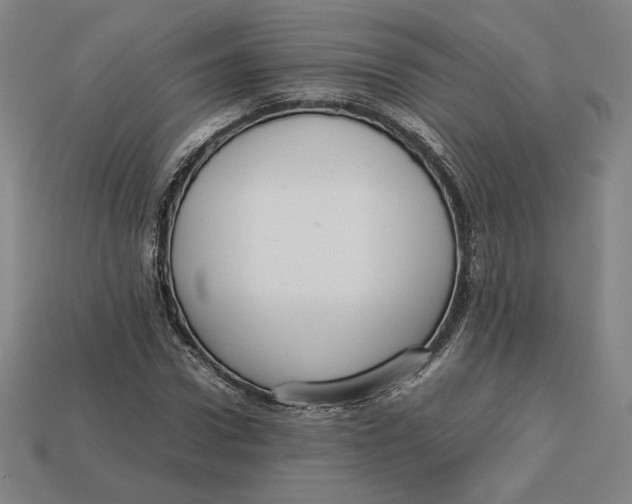 X0000113110922200909181625