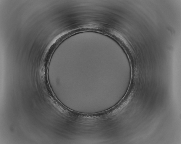 X0000113110923200909181625