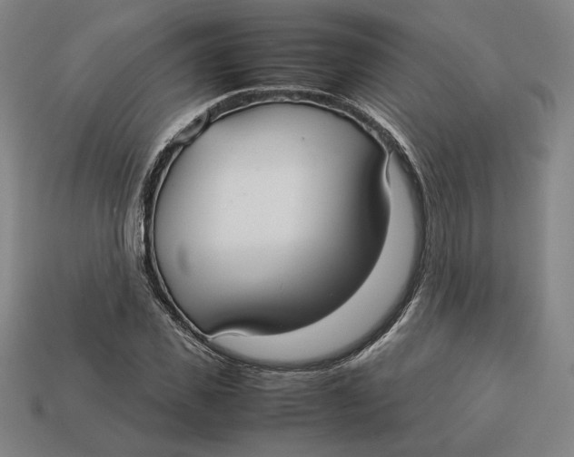 X0000113110925200909181625