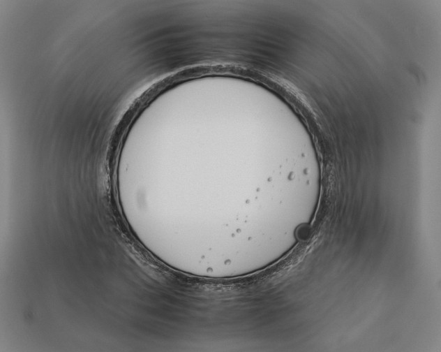 X0000113110927200909181625