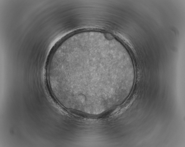 X0000113110928200909181625