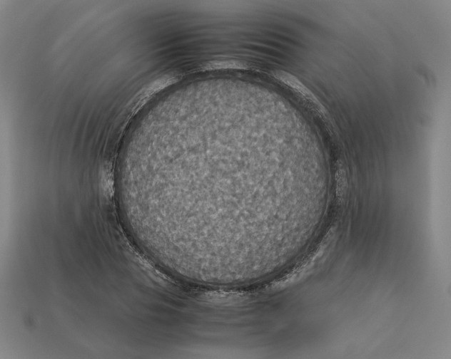 X0000113110929200909181625