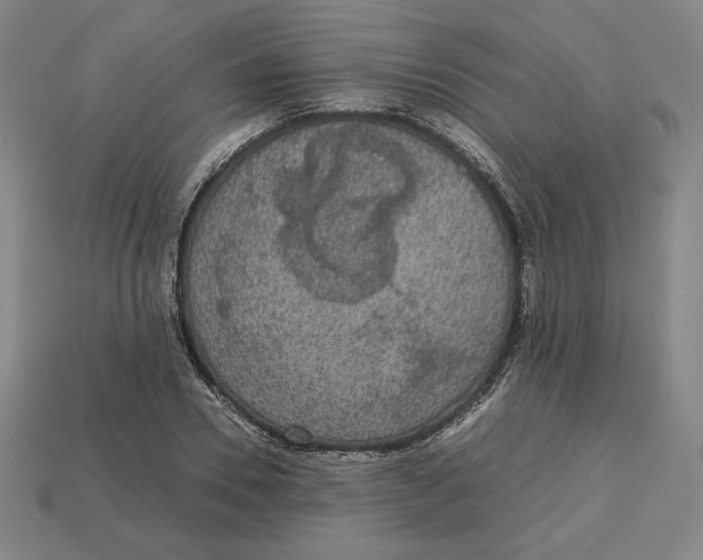 X0000113110930200909181625