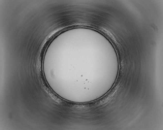X0000113110931200909181625