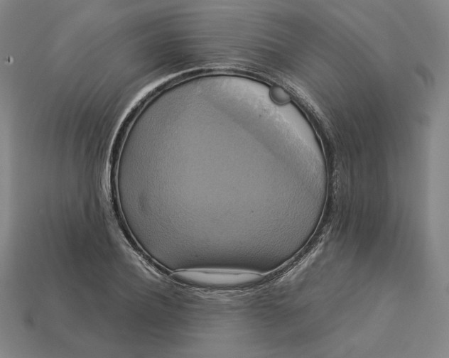 X0000113110932200909181625