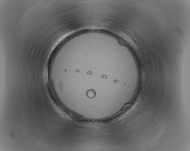 X0000113110934200909181625