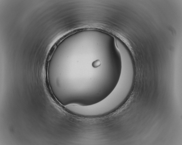 X0000113110936200909181625