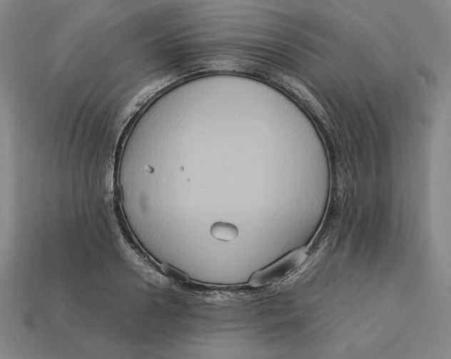 X0000113110938200909181625