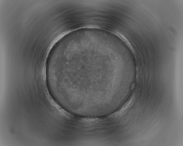 X0000113110939200909181625