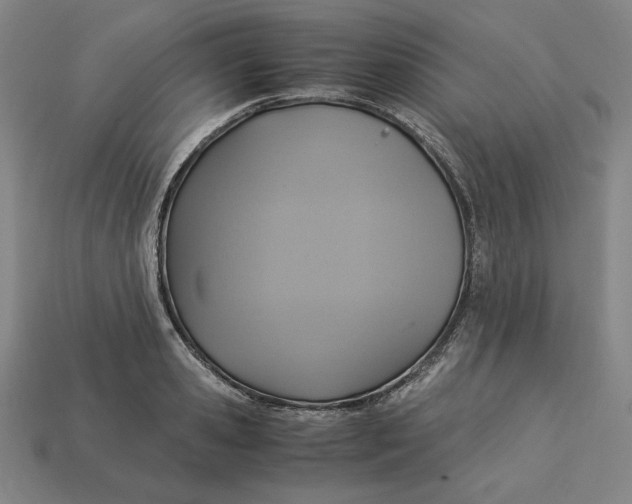 X0000113110941200909181625