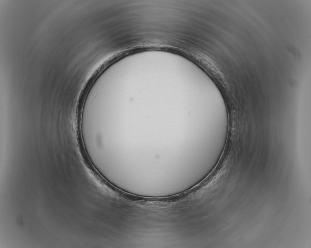 X0000113110942200909181625