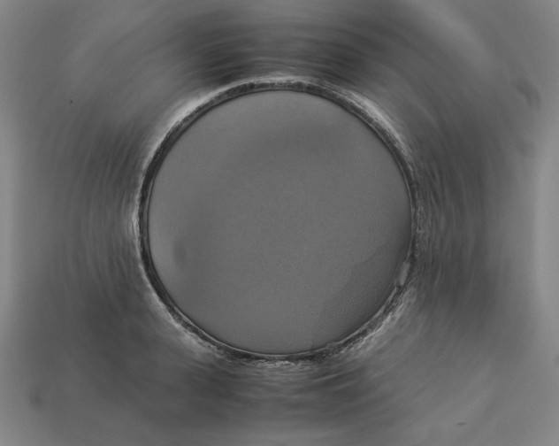 X0000113110943200909181625