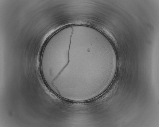 X0000113110944200909181625