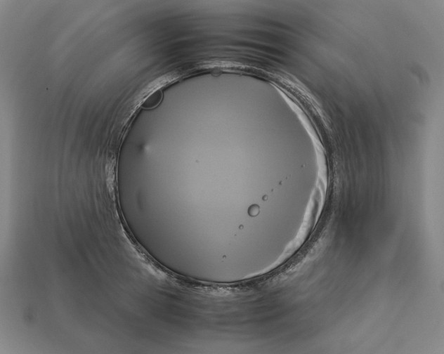 X0000113110945200909181625