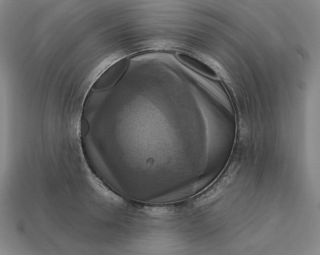 X0000113110946200909181625