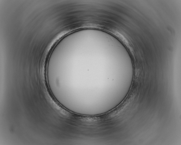 X0000113110947200909181625
